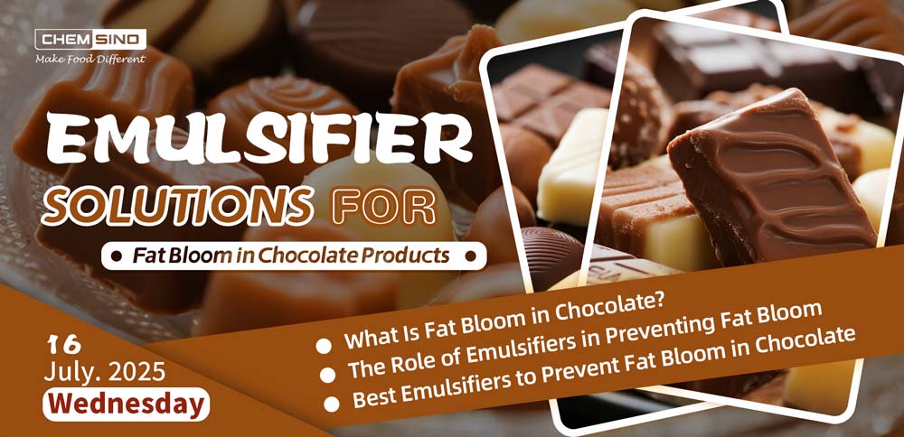Emulsifier Solutions for Fat Bloom in Chocolate Products